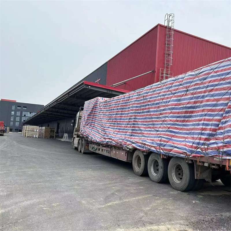 阜新县渝中区物流：多元服务与运输线路探秘