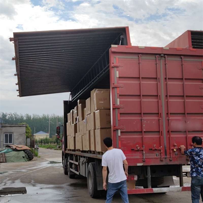 阜新县扎囊县：物流专线的高效货运之旅