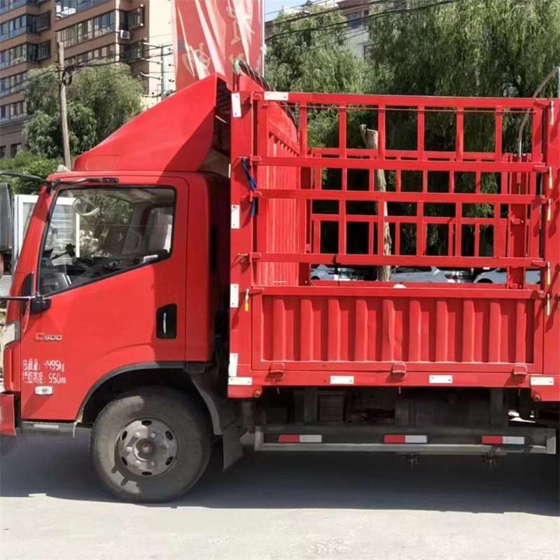 阜新县延安市物流专线：多元货运服务的精彩画卷